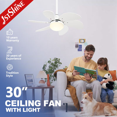 Buen precio Ventilador de techo blanco luz de la habitación de los niños motor DC de 30 pulgadas Mini ventilador de techo LED en línea